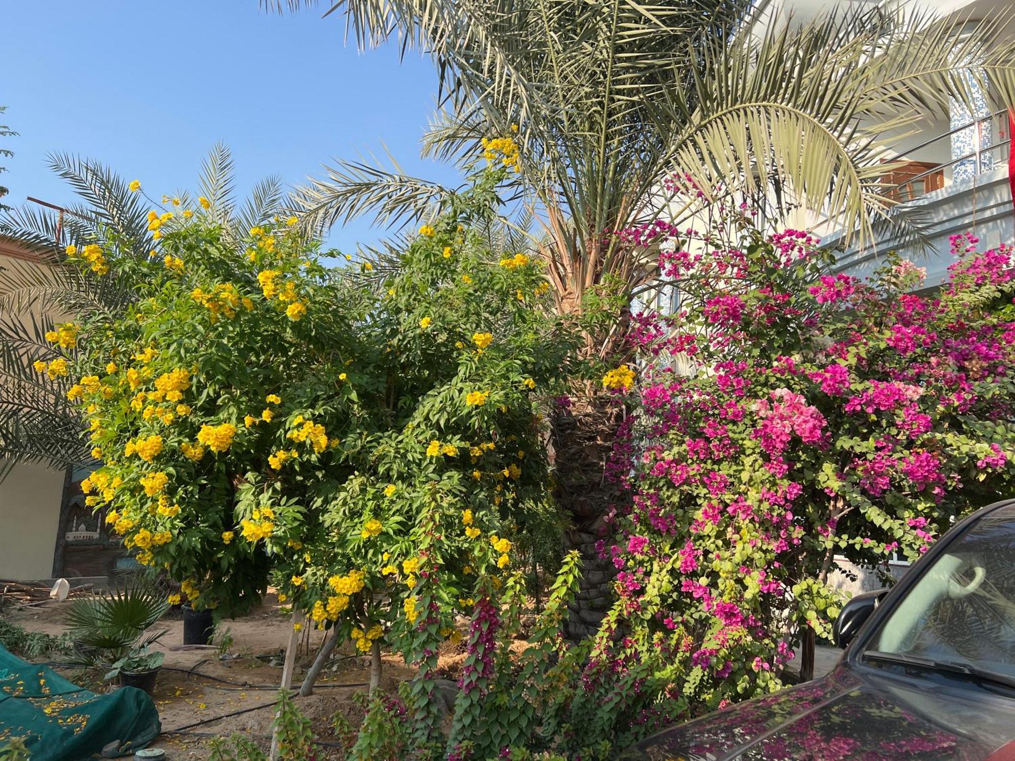 Alhosani Property Abou Dabi Extérieur photo